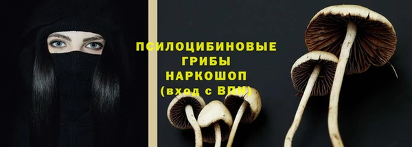 спайс Абинск